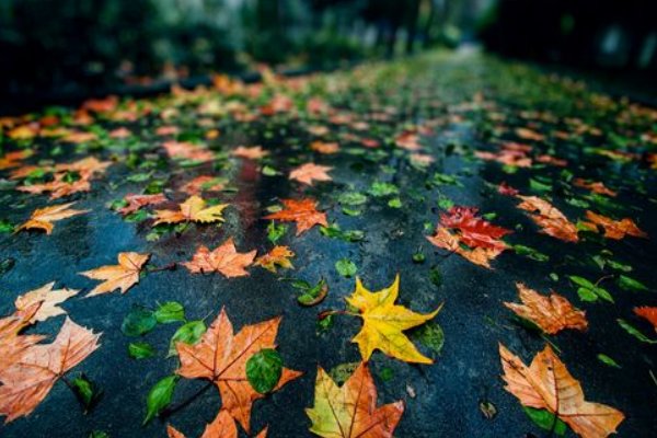 秋天的雨第二自然段怎么仿写