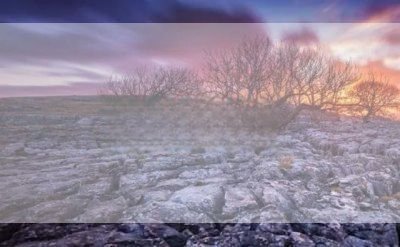 小孩不笨1观后感5篇