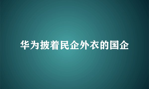 华为披着民企外衣的国企