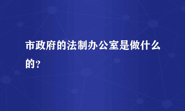 市政府的法制办公室是做什么的？