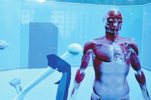 人体的消化器官怎么画