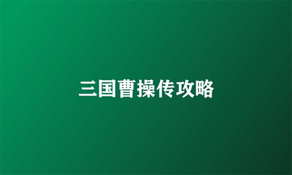 三国曹操传攻略