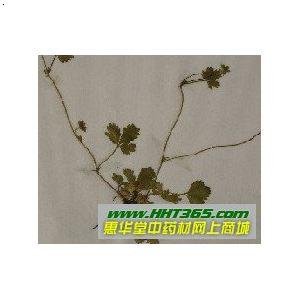 蛇莓根的药材性状