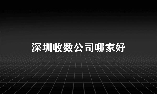 深圳收数公司哪家好