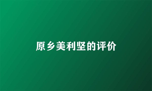 原乡美利坚的评价