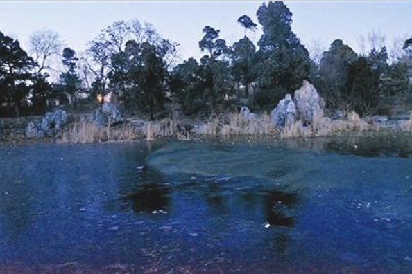 关于复旦学生清华溺亡事件的介绍