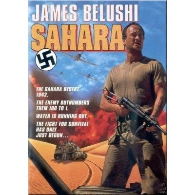 撒哈拉沙漠阻击战的介绍