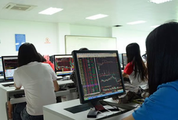 如何查自己的会计证书号？