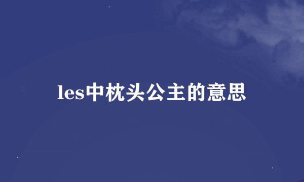 les中枕头公主的意思