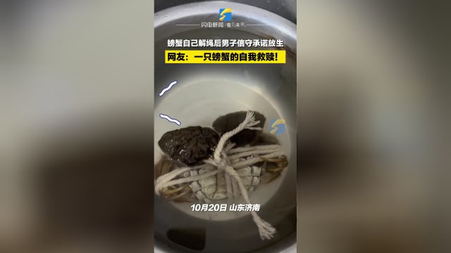 男子吃螃蟹意外发现它自己解绳，打赌解开就放生，最终的结果如何？