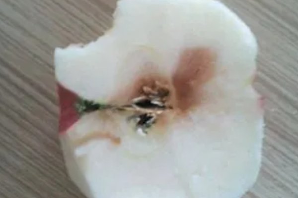 bad apple什么意思