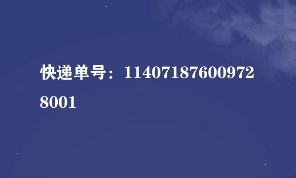 快递单号：114071876009728001