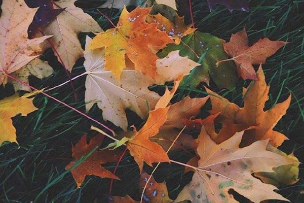 “肖”姓和“萧”姓有什么关联？