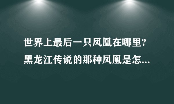 世界上最后一只凤凰在哪里?黑龙江传说的那种凤凰是怎么回事?