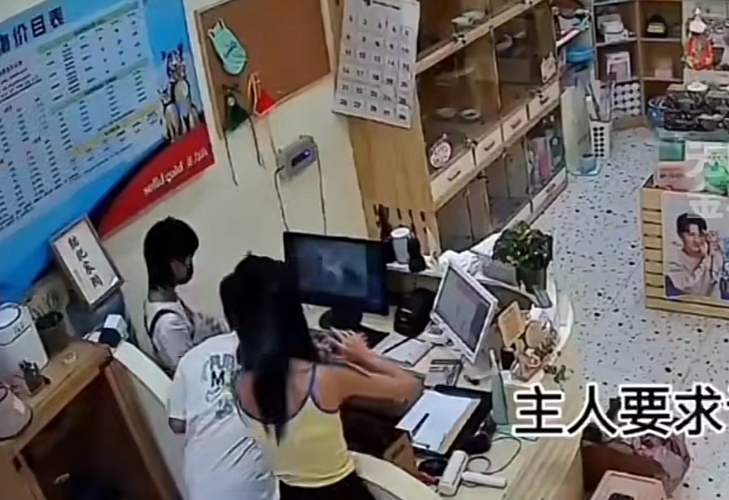 成都一美容师抓狗用力过度遭狗主人殴打，究竟是谁的错？