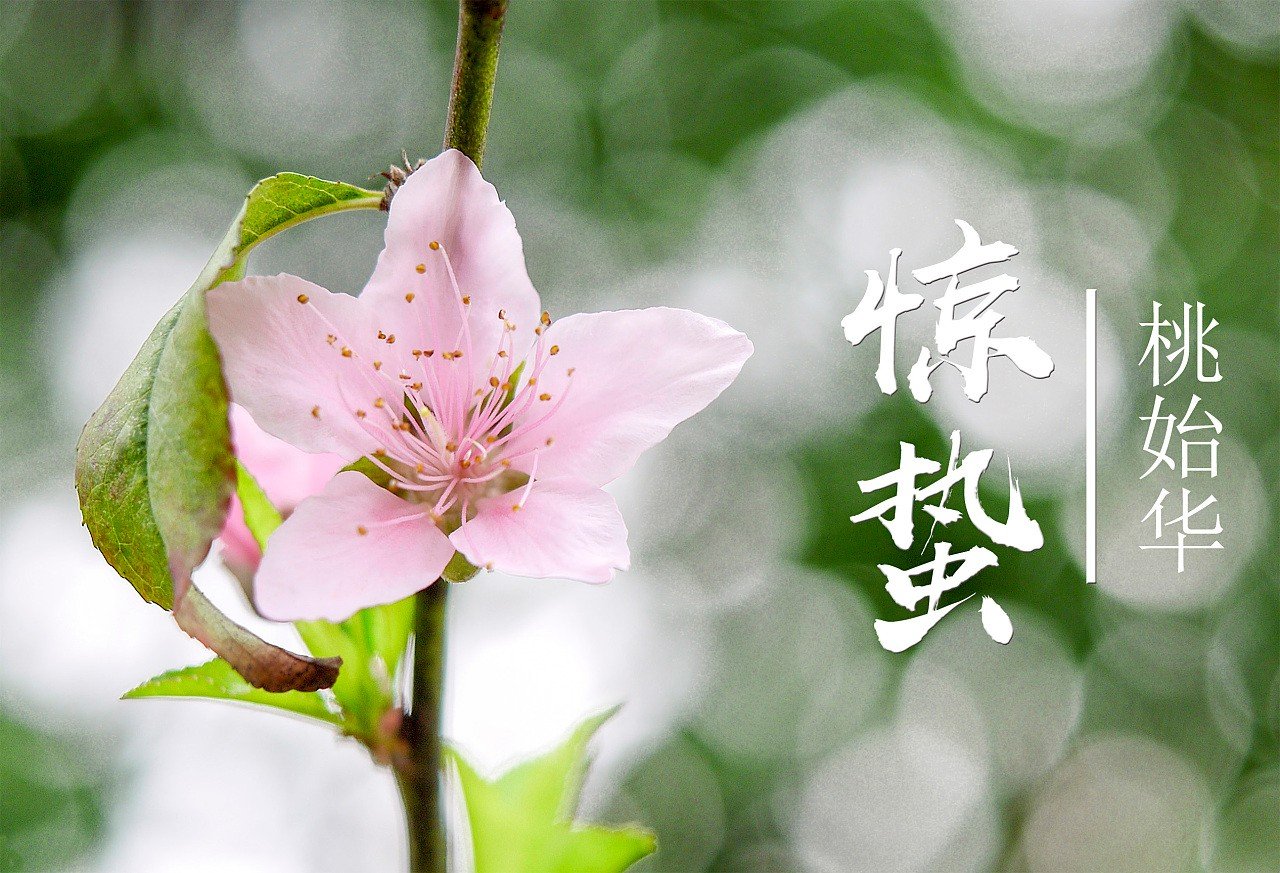 惊蛰的美好寓意