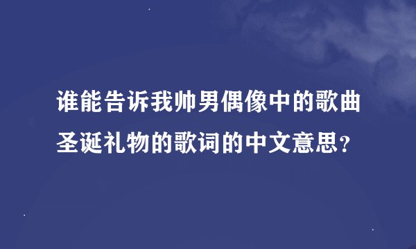 谁能告诉我帅男偶像中的歌曲圣诞礼物的歌词的中文意思？
