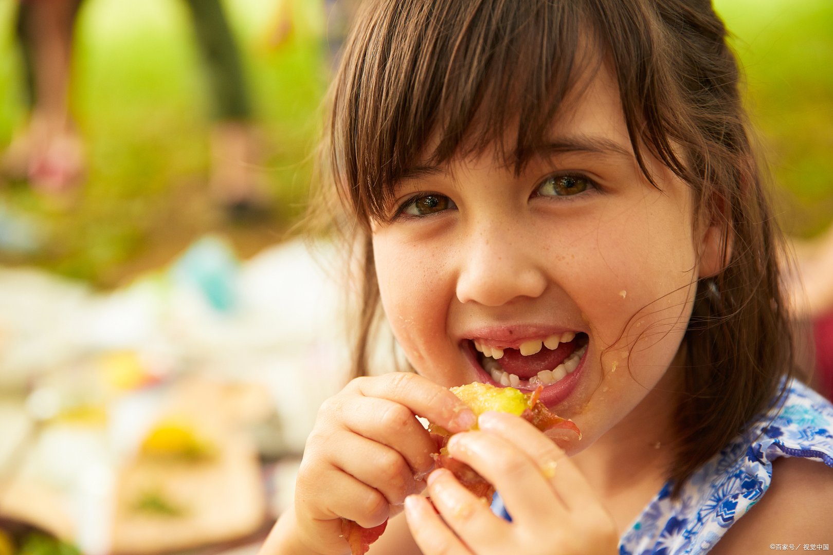 有人了解法国人是高卢人还是日耳曼人吗？