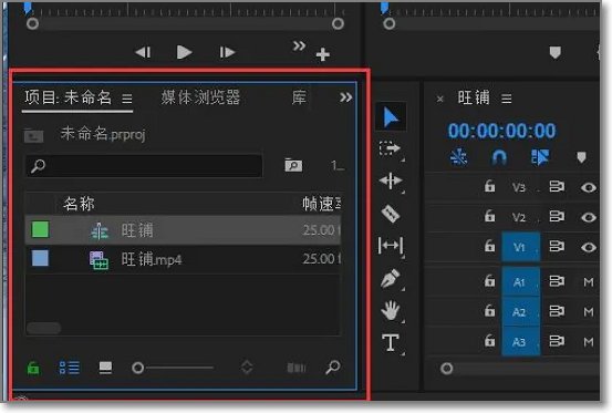 pr九尾狐正能量版2.1怎么用？