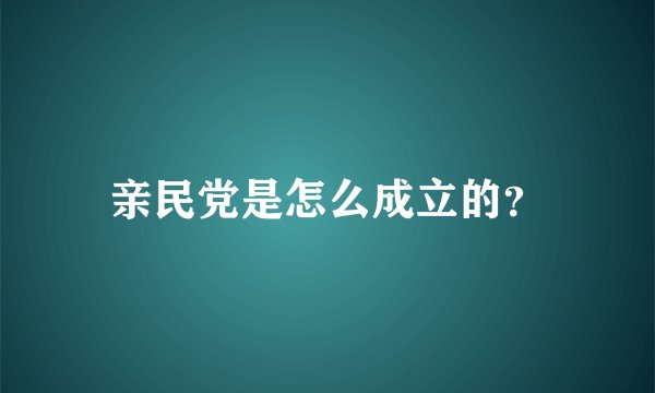 亲民党是怎么成立的？
