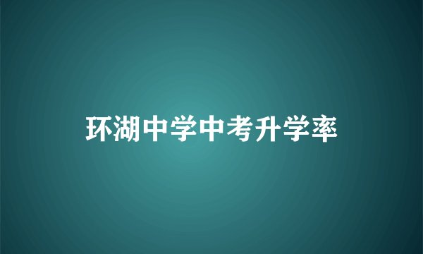 环湖中学中考升学率