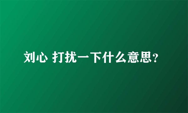 刘心 打扰一下什么意思？