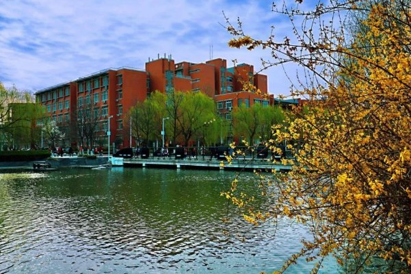 郑大的专业排名一览表