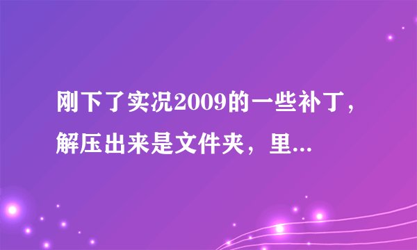 刚下了实况2009的一些补丁，解压出来是文件夹，里面全是bin格式的，怎样安装？