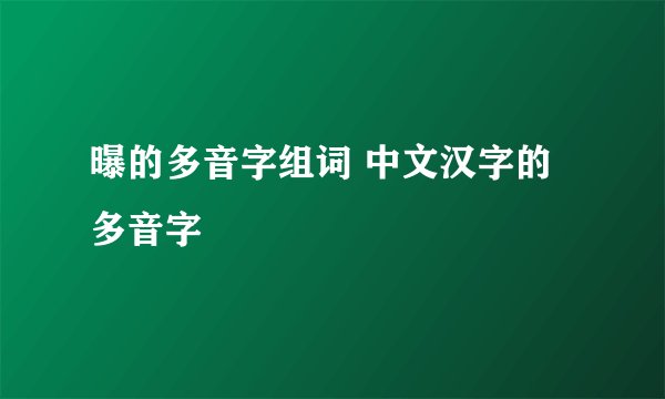 曝的多音字组词 中文汉字的多音字