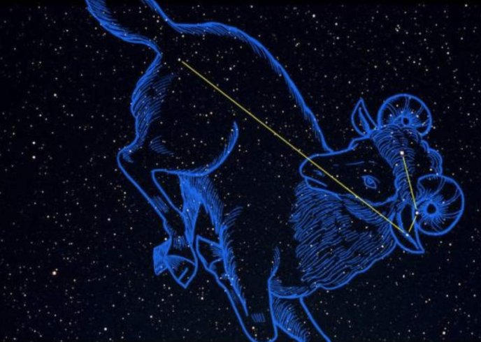 农历1977年2月19日是什么星座