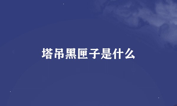 塔吊黑匣子是什么