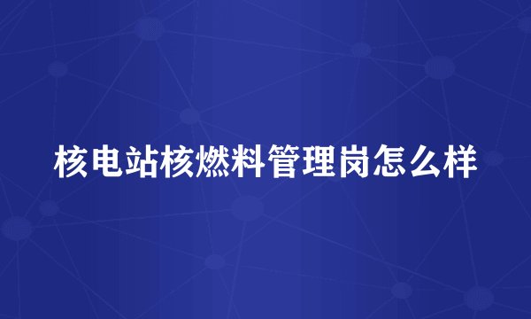 核电站核燃料管理岗怎么样