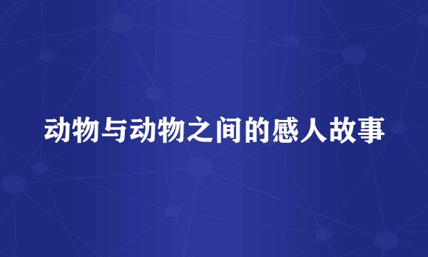 动物与动物之间的感人故事