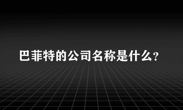 巴菲特的公司名称是什么？