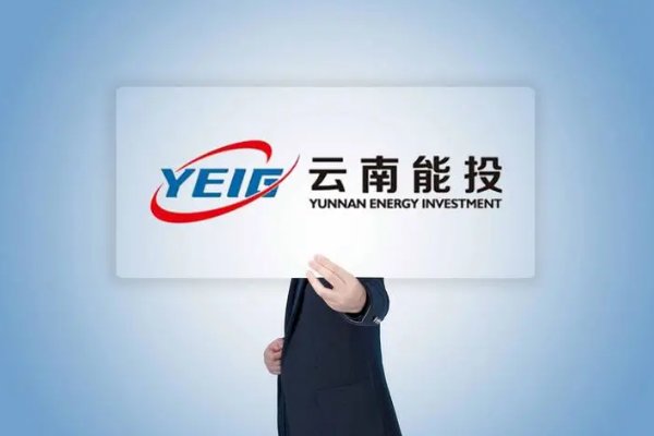 上市盐业公司有哪些