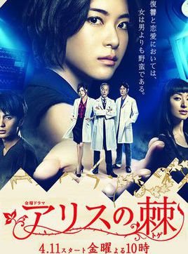 爱丽丝之棘的剧情简介