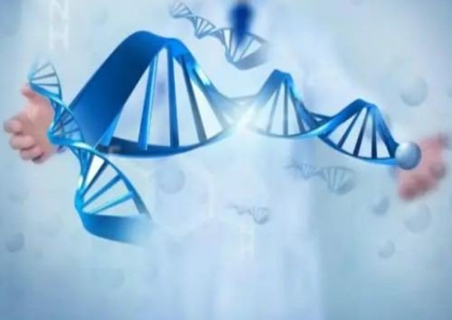 什么是反应动力学