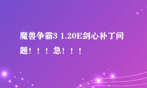 魔兽争霸3 1.20E剑心补丁问题！！！急！！！