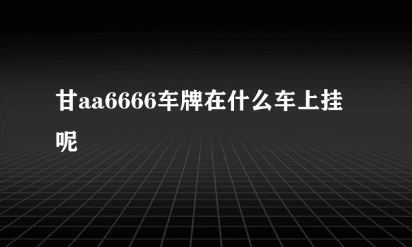 甘aa6666车牌在什么车上挂呢