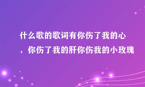 什么歌的歌词有你伤了我的心，你伤了我的肝你伤我的小玫瑰