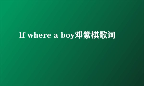 lf where a boy邓紫棋歌词