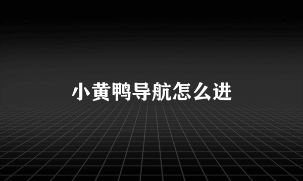 小黄鸭导航怎么进