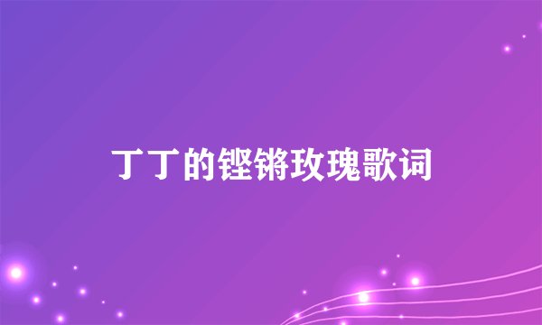 丁丁的铿锵玫瑰歌词