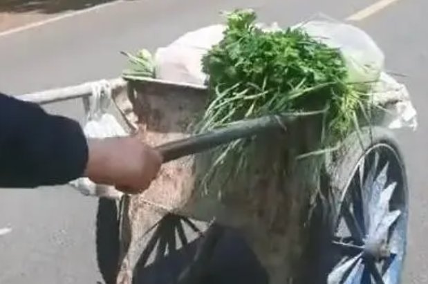 上海居民限时购物：扁担推车全用上，在路上你还见到了哪些奇葩的购物方式？