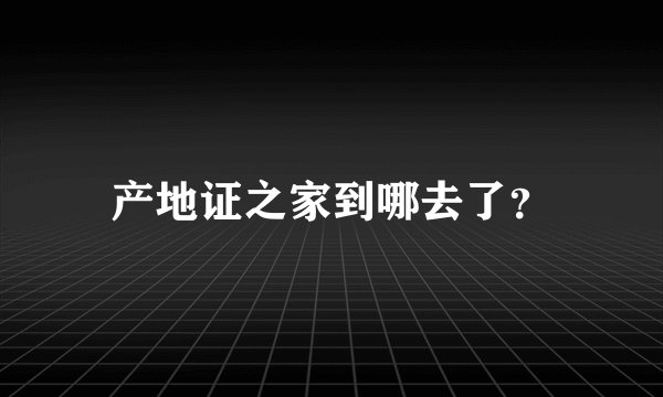 产地证之家到哪去了？