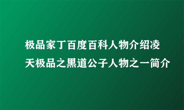 极品家丁百度百科人物介绍凌天极品之黑道公子人物之一简介