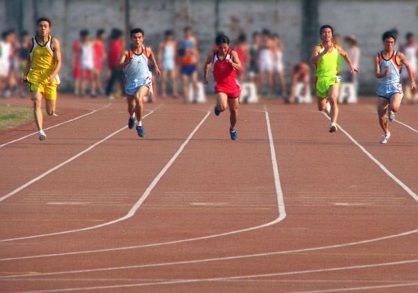 中国美学院为何会招收体育界学生呢？