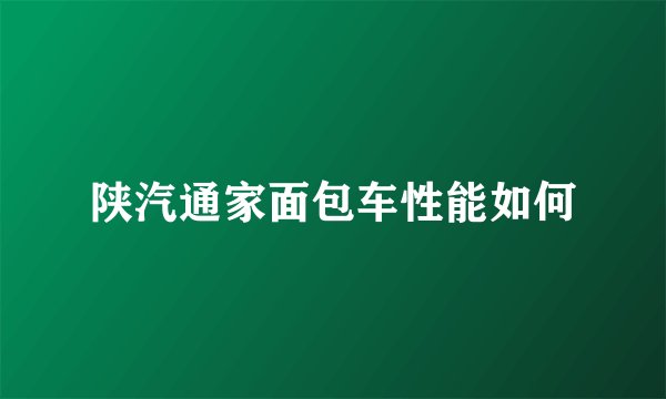 陕汽通家面包车性能如何