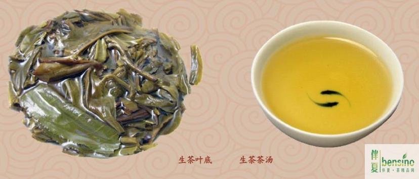 云南普洱茶网的网站内容