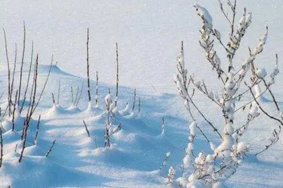 暖冬是什么意思